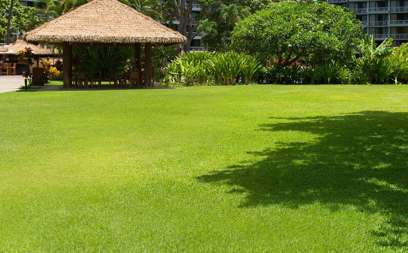 Resort Ka'anapali 3*