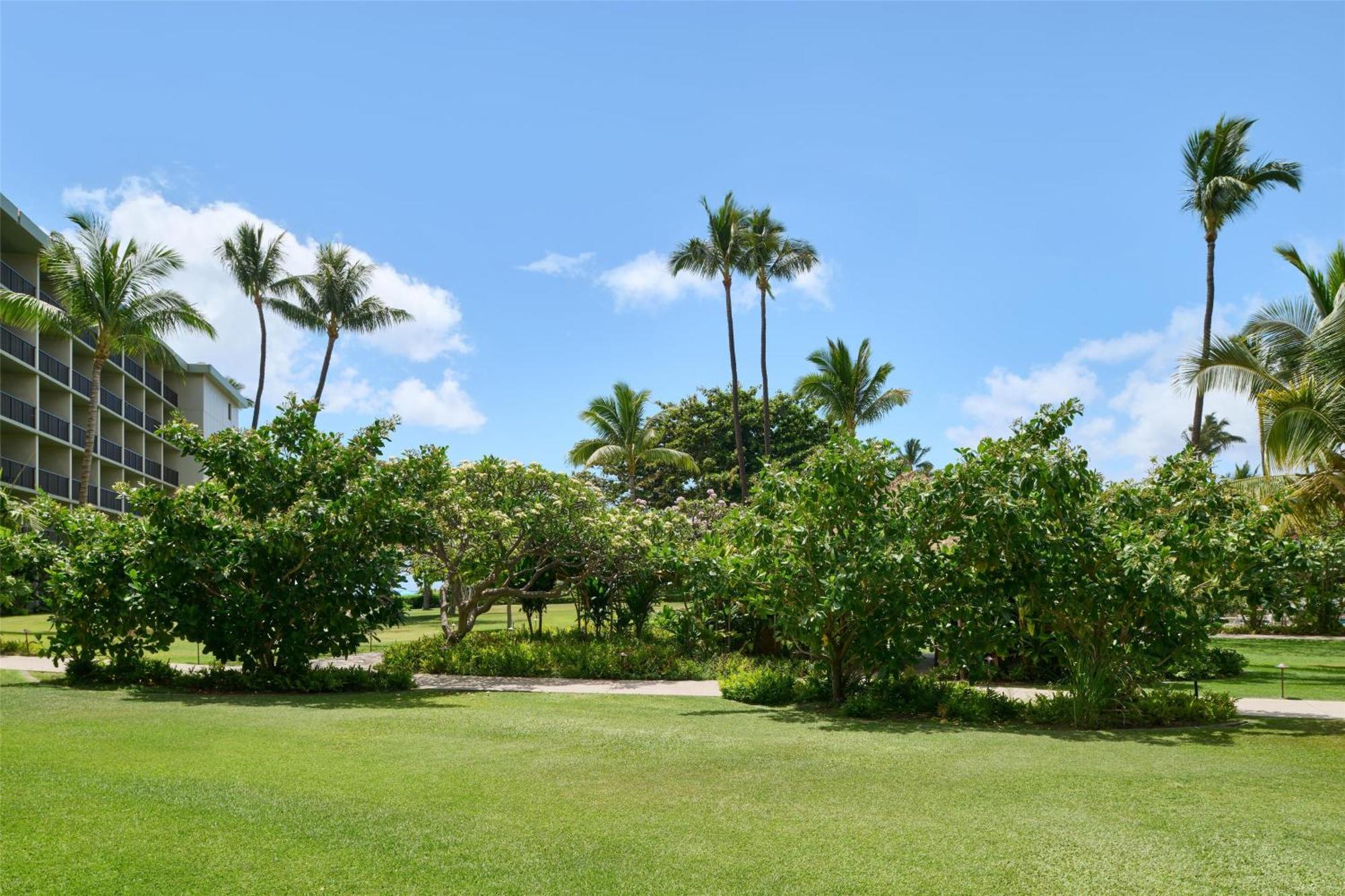 Outrigger Kaʻanapali 3* Kaanapali